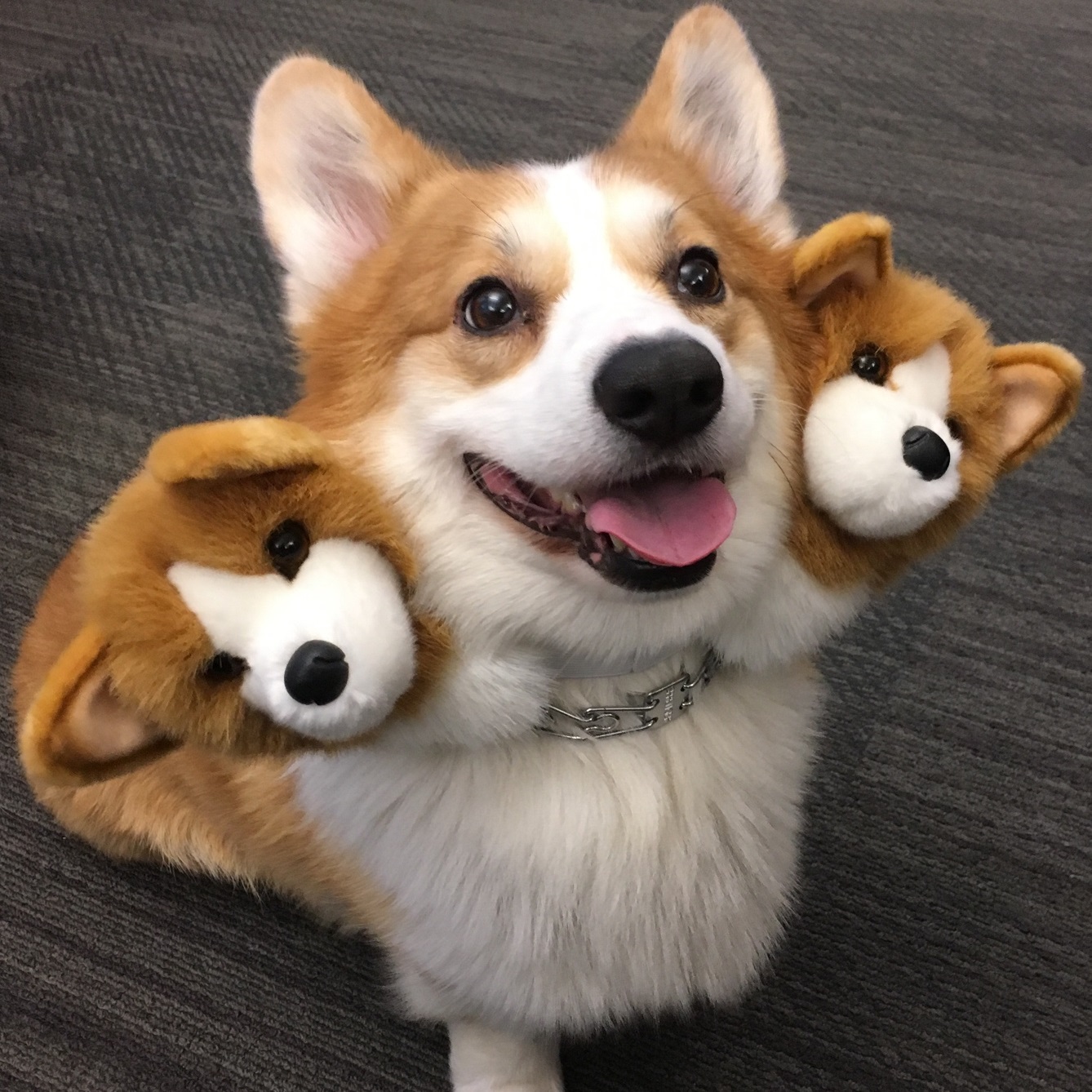 ユーザ画像